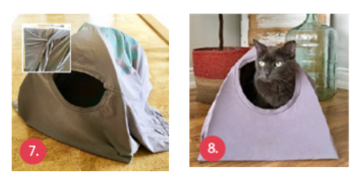 Cat Tent - T Shirt