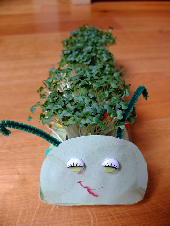 Caterpillars - Egg Carton