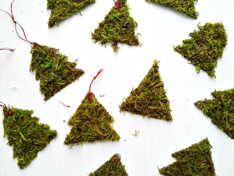 Christmas Tree - Moss