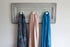 Coat Rack - Cabinet Door