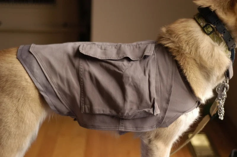 Dog Backpack - Pants