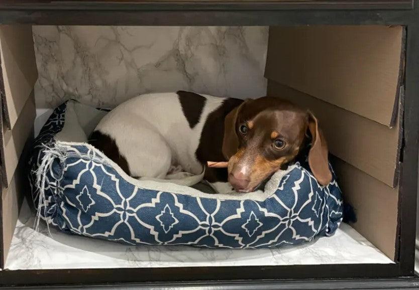 Dog Bed - Side Table