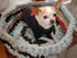 Dog Bed - Wool