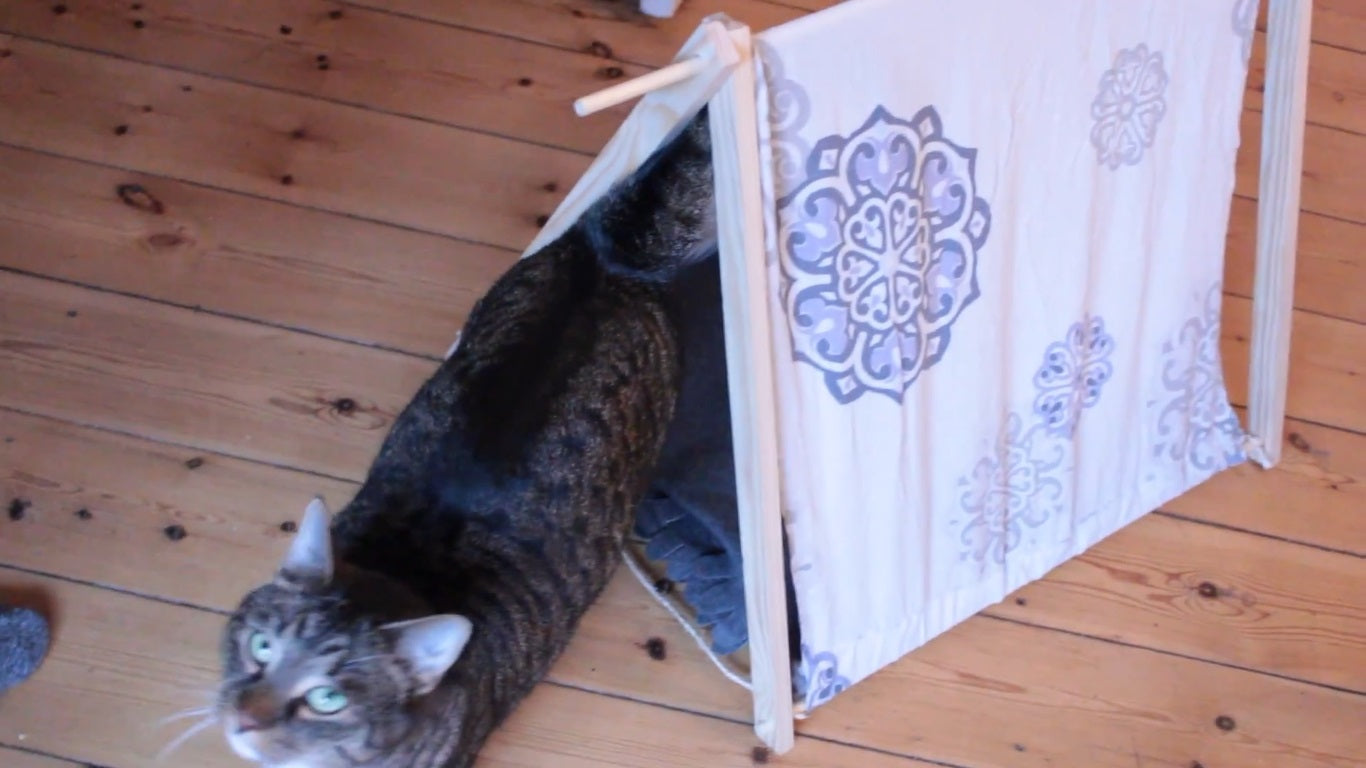 Dog Tent - Pillow Case