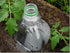 Drip Irrigation - Plastic Bottle