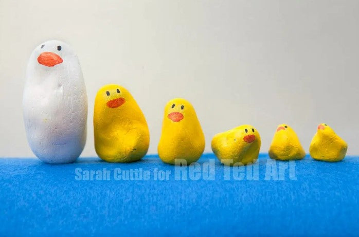 Duck - Rock