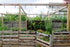 Fence - Pallet