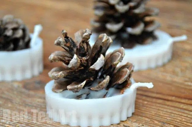 Fire Starter - Pine Cone