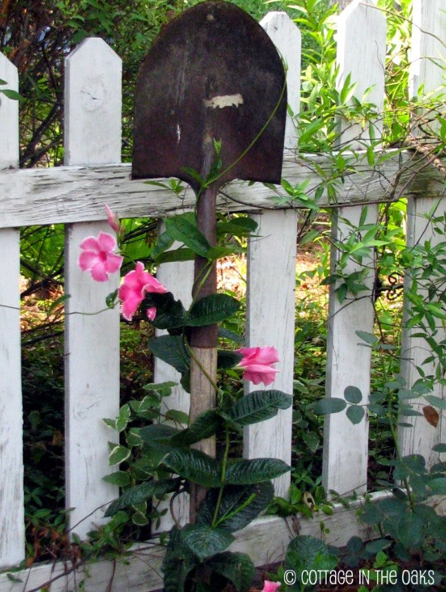 Garden Trellis - Shovel