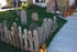 Graveyard - Pallet