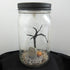 Graveyard Terrarium - Mason Jar