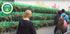 Green Wall - Plastic Bottle