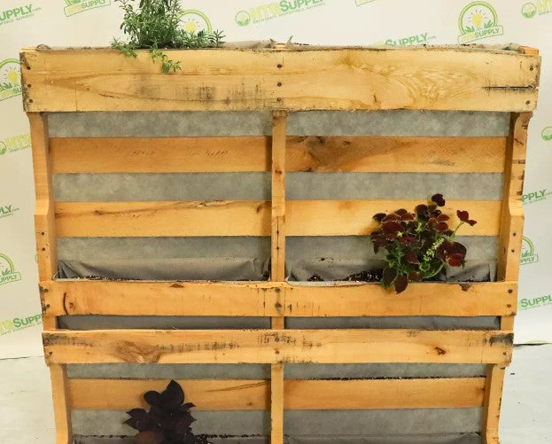 Herb Garden - Pallet