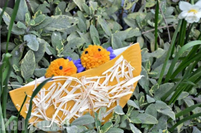 Nest - Paper Plate