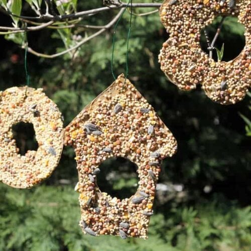 Ornament - Birdseed