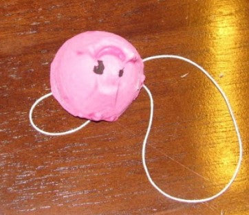 Pig - Egg Carton
