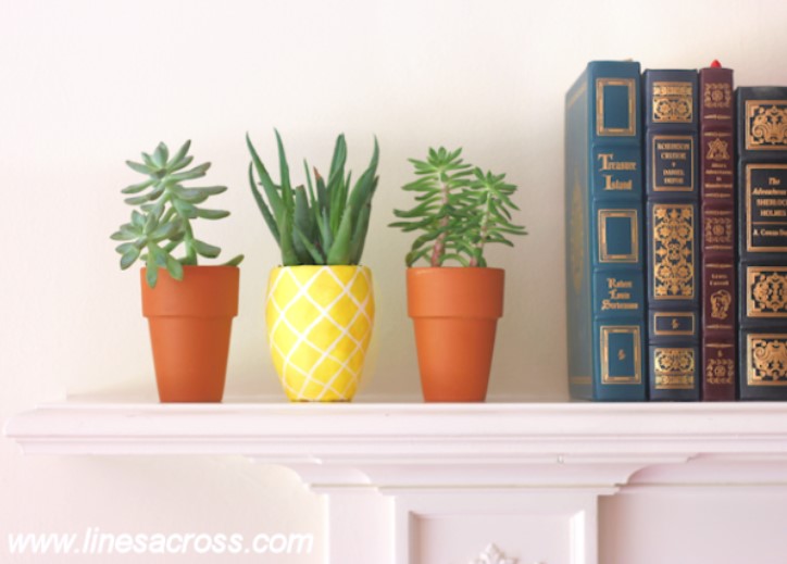 Pineapple - Planter