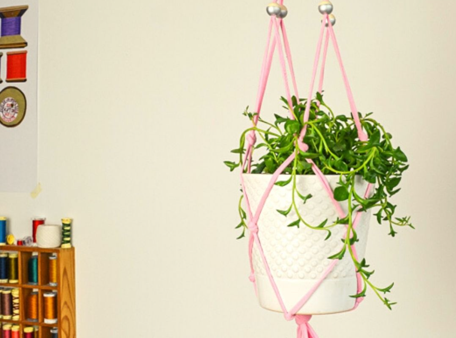 Plant Hanger - T Shirt