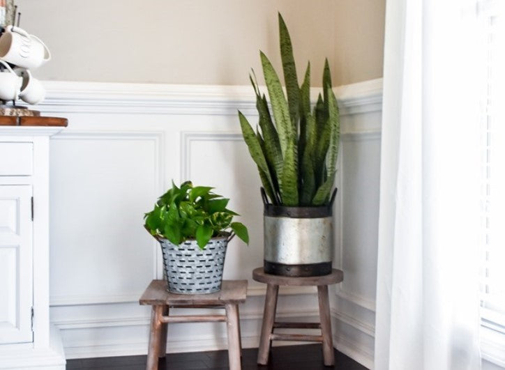 Plant Stand - Bar Stool