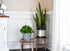 Plant Stand - Bar Stool