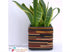 Planter - Belt