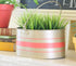 Planter - Bucket