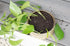 Planter - Candle Holder