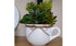 Planter - Mug
