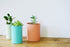 Planter - Tin Can