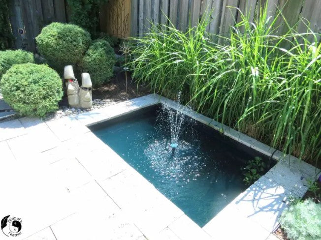 Pond - Crate