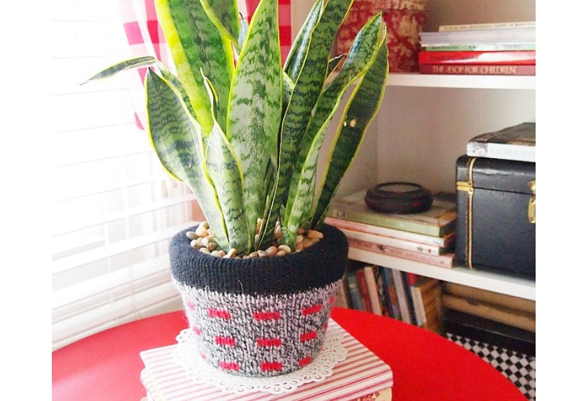Pot (Covered)- Sweater