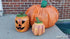 Pumpkin - Plastic Bottle