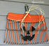 Pumpkin - Rake