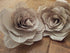 Roses - Book Page