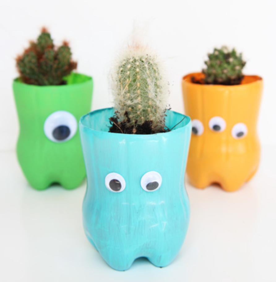 Planters - Plastic Bottle