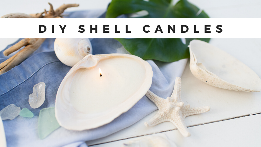 Candle - Shell