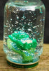 Snow Globe - Mason Jar