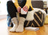 Socks - Sweater
