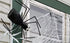 Spider - Plastic  Bottle