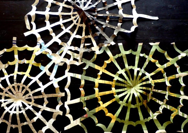 Spider Web - Newspaper