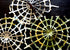 Spider Web - Newspaper