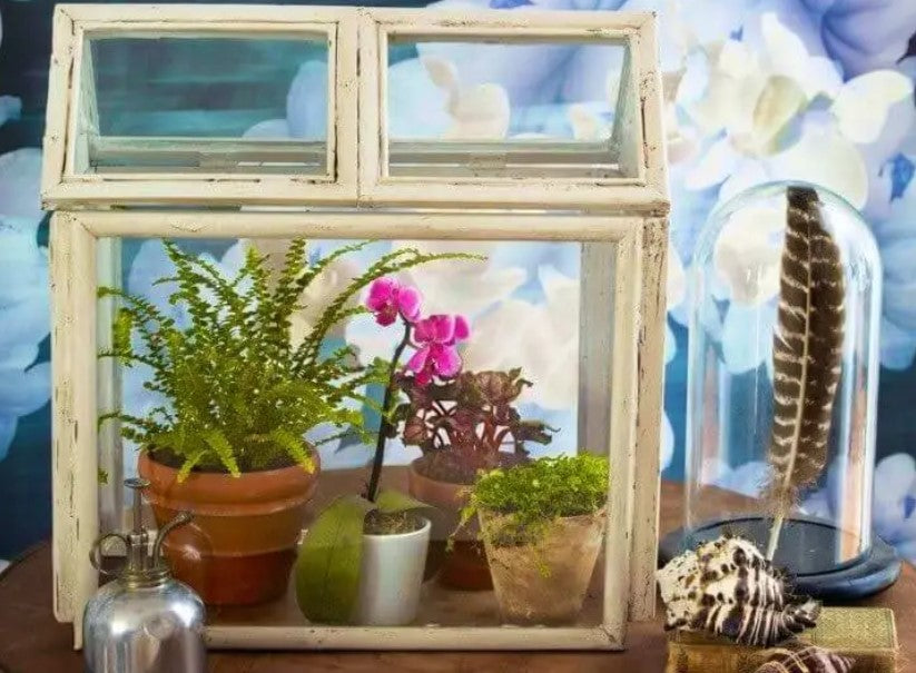Terrarium - Frame
