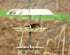 Bird Feeder - Tiered Stand