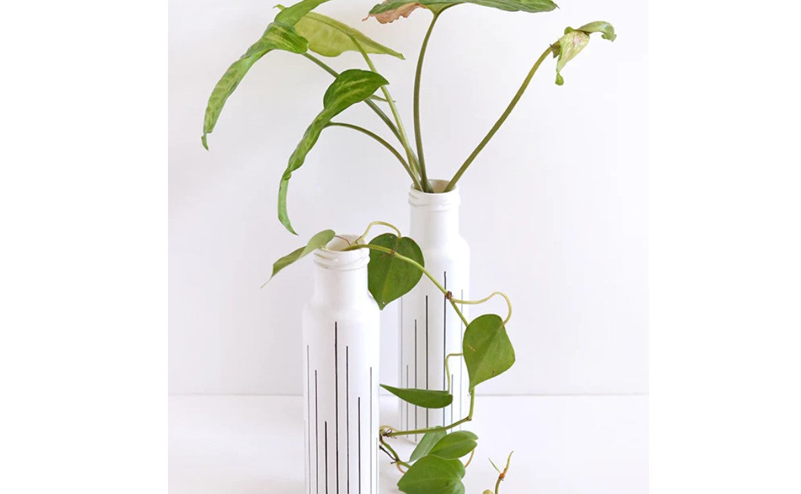 Vase - Glass Bottle