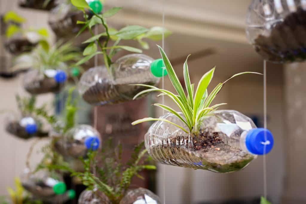 Vertical Garden - Plastic Bottle